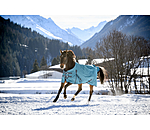 Turnout Rug Kadir IV, 100g
