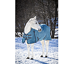 Turnout Rug Kadir IV, 100g
