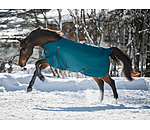 Turnout Rug Kadir IV, 100g