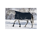 High Neck Turnout Rug Kalina II, 100g