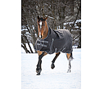 High Neck Turnout Rug Kalina II, 100g