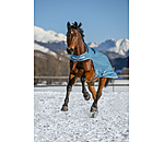 Turnout Walker Rug Kasimo II, 0g