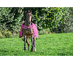 Outdoor Walker Rug Kasimo II, 0g