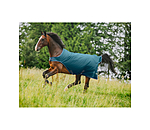 Outdoor Walker Rug Kasimo II, 0g