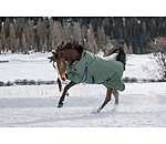 High Neck Turnout Rug Jesco II With Fleece Lining, 0g