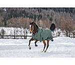 High Neck Turnout Rug Jesco II With Fleece Lining, 0g