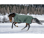 High Neck Turnout Rug Jesco II With Fleece Lining, 0g