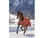 High Neck Turnout Rug Jesco II With Fleece Lining, 0g