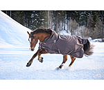 High Neck Turnout Rug Jesco II With Fleece Lining, 100g