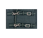 THERMO MASTER High Neck Turnout Rug Jesco II With Fleece Lining, 100g