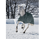 THERMO MASTER High Neck Turnout Rug Jesco II With Fleece Lining, 100g