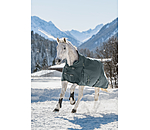 THERMO MASTER High Neck Turnout Rug Jesco II With Fleece Lining, 100g