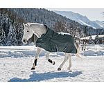 THERMO MASTER High Neck Turnout Rug Jesco II With Fleece Lining, 100g