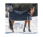 Combination System Inner Rug for Turnout Rugs Janice, 150g