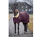 Functional Fleece Wicking Rug Sparkling II