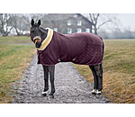 Functional Fleece Wicking Rug Sparkling II