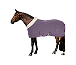 Functional Fleece Wicking Rug Sparkling II