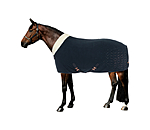 Functional Fleece Wicking Rug Sparkling II