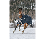 High Neck Turnout Rug Paddock Reflective, 0g