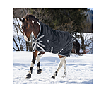 High Neck Turnout Rug Paddock Reflective, 0g