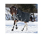 High Neck Turnout Rug Paddock Reflective, 100g