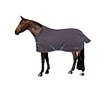 4 in 1 Regular Neck Turnout Rug with multi-layer system, 0-300g