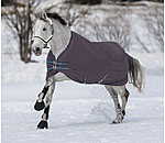 4 in 1 Regular Neck Turnout Rug with multi-layer system, 0-300g