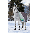 4 in 1 Regular Neck Turnout Rug with multi-layer system, 0-300g