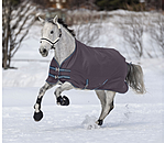 4 in 1 Regular Neck Turnout Rug with multi-layer system, 0-300g