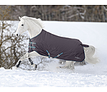 4 in 1 Regular Neck Turnout Rug with multi-layer system, 0-300g