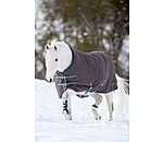 4 in 1 Regular Neck Turnout Rug with multi-layer system, 0-300g