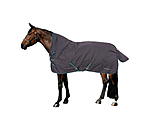 4 in 1 Highneck Turnout Rug with multi-layer system, 0-300g