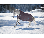 4 in 1 Highneck Turnout Rug with multi-layer system, 0-300g