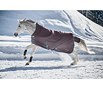 4 in 1 Highneck Turnout Rug with multi-layer system, 0-300g