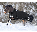 Liberty Combination System Turnout Rug, 0g