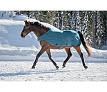 Fleece Walker Rug Activity