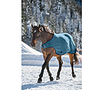 Fleece Walker Rug Activity