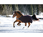 Fleece Walker Rug Activity