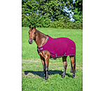 Fleece Walker Rug Activity