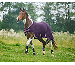 Fleece Walker Rug Activity