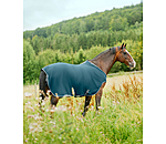 Fleece Walker Rug Activity