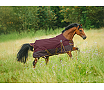 Turnout Rug Generously, 50g