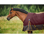 Turnout Rug Generously, 50g