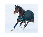 Turnout Rug Generously, 50g