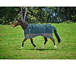 Turnout Rug Generously, 50g