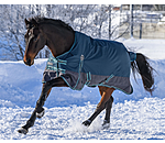 Turnout Rug Generously, 150g