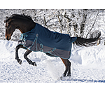 Turnout Rug Generously, 150g