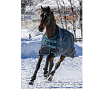 Turnout Rug Generously, 150g