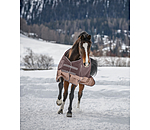 Regular Neck Turnout Rug Aidan, 50g