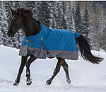 Regular Neck Turnout Rug Aidan, 50g